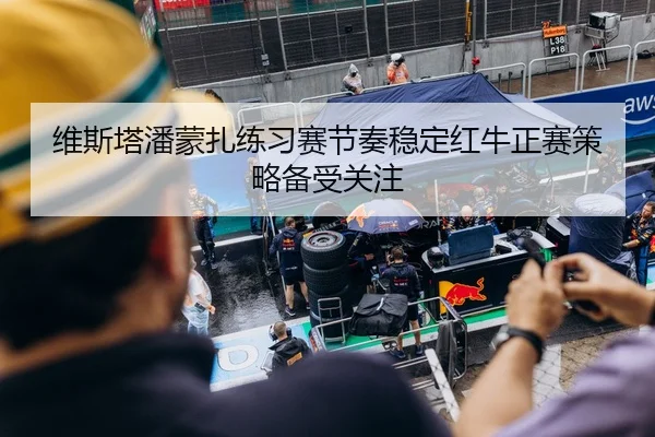 维斯塔潘蒙扎练习赛节奏稳定红牛正赛策略备受关注
